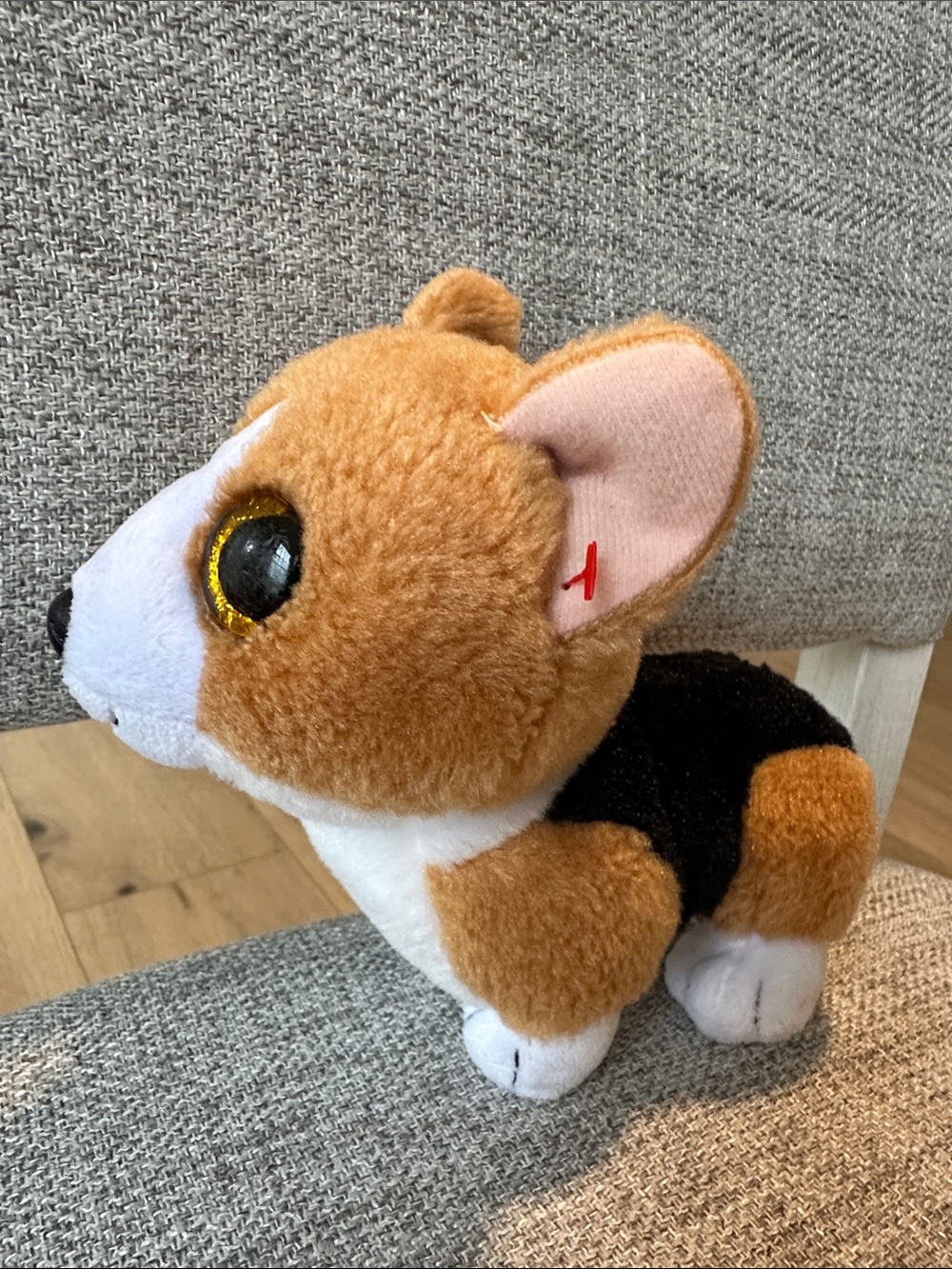 TY Colin Corgi 8” Collectible Plush Dog 2022 Gold Glitter Eyes Excellent Conditi